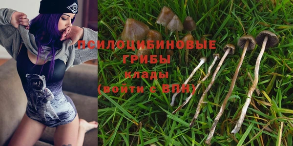 первитин Арсеньев