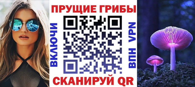 Псилоцибиновые грибы прущие грибы  Сунжа 